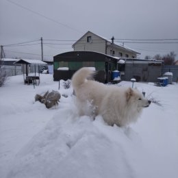 Фотография от Александр Козлов