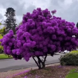 Фотография от Светлана Елфимова