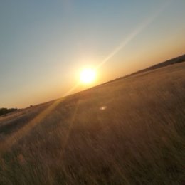 Фотография "Закат в Советском. Алтын Дала- Золотая Степь "