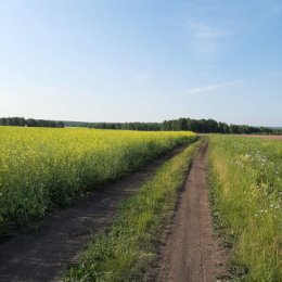 Фотография от Надежда Сташкова