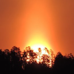 Фотография "Зимний восход солнца"