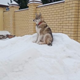 Фотография от Игорь Цыбизов