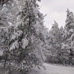 Фотография от Лариса Цурупа (Ермолаева)