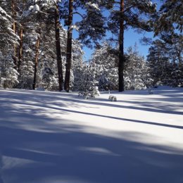 Фотография от Галина Юрина(Тарасова Каланова)