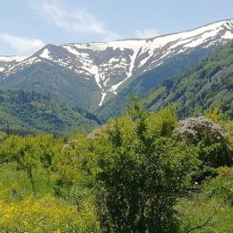 Фотография от Александр Лутай