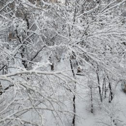 Фотография от Надежда Кудрявцева (Логутёнок)