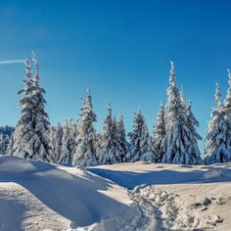 Фотография от Наталия Стародубова