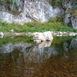 Фотография от Янина Шрит ( Курамшина )