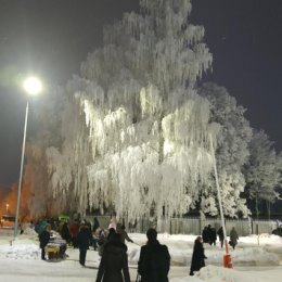 Фотография от николай дьяченко