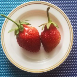 Фотография "Вот и спелая клубничка.
Рядом с ней её сестричка.
Вместе в листиках сидят
И на солнышко глядят."