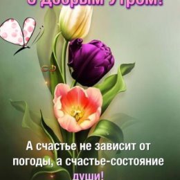 Photo from Татьяна Новикова (Ахмедова)