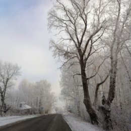 Фотография от Елена Артемова