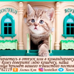 Фотография от Гостиница для кошек Хостел Кэт