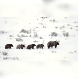 Фотография от Александр Румянцев