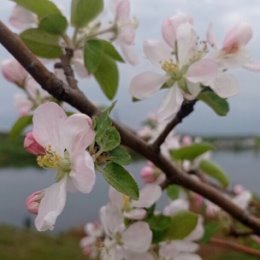 Фотография от Кадырова Альбина