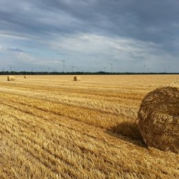 Фотография "Ботиевская ВЭС.Август 2015"