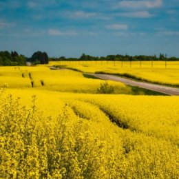 Фотография от Наталья Шмагина