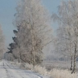 Фотография от Тамара Захарова