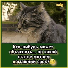 Фотография от Вячеслав Корнеев