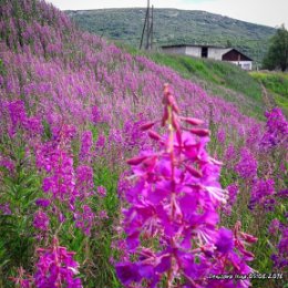 Фотография от Елена Алупова