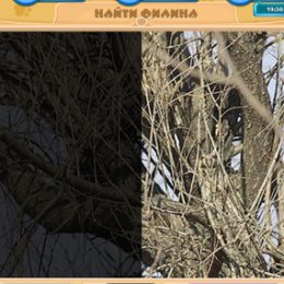 Фотография "Друзья, помогите мне найти животное на этой картинке в игре "Найди животное" http://www.odnoklassniki.ru/game/197780224"