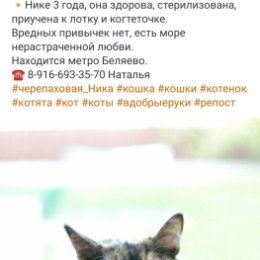 Фотография от 💖 🐶 Зверики в дар 🐱 💖