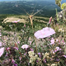 Фотография от Наталья Миронова (Уманец)