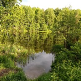 Фотография от Александра Сверкунова