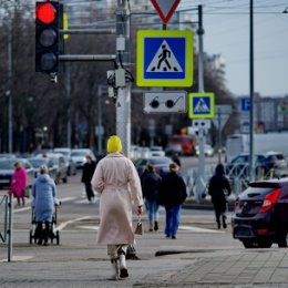 Фотография от Николай Саржанов