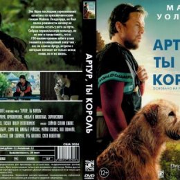 Фотография "Артур, ты король (Arthur the King) - Фильм на DVD и Blu-ray"