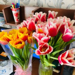 Фотография "Красивые тюльпаны  от детей на 8 марта"