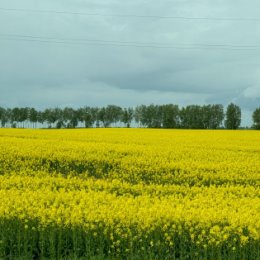 Фотография от Александр Рыжков