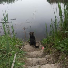 Фотография от Виталя Мурзо