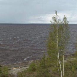 Фотография от дмитрий петров