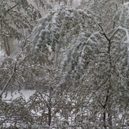 Фотография от ЕЛЕНА УШАКОВА(ИЛАМАНОВА)