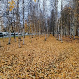 Фотография от Марина Унтилова (Никул)