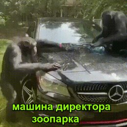 Фотография от Михаил Марукян