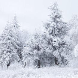 Фотография от Тамара Лебедева