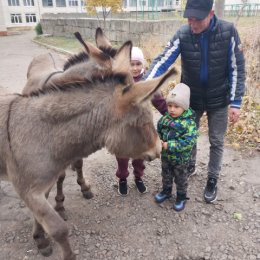 Фотография от серёга чабаненко