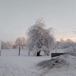 Фотография от Наталья Татаренкова