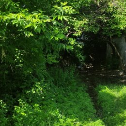 Фотография "Это 3й Хрящевский переулок по которому дети ходят в школу"