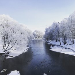 Фотография "https://www.instagram.com/p/BfgU84MgP62/?igref=okru
Сегодня моя самая любимая зима ))) Мороз и солнце, день чудесный!
#моязима #Сестрорецк #красотавокругнас #люблюзиму"