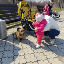 Фотография "🐶👩‍👦🥰"