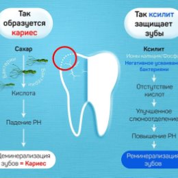 Фотография от Алина ٠