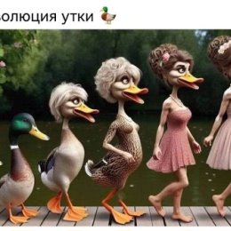 Фотография от СВЕТЛАНА БОБРОВА