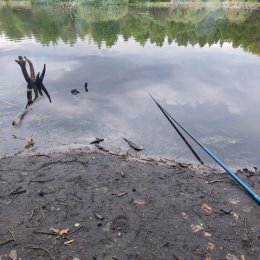 Фотография от Яков Шоломицкий