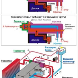 Фотография от EW WE