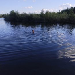 Фотография от Евгений Васильев