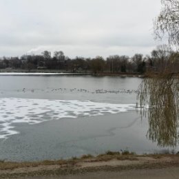 Фотография "https://www.instagram.com/p/BqvHIBOnNxB/?igref=okru
Даже на реке уже лед и чайки на нём. Бррррр❄❄❄"