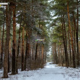 Фотография от Андрей Кузнецов